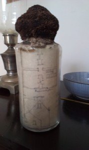 nlair Time Capsule - Detail (3)